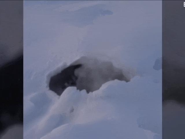 Thế giới - “Lửa thây ma” bùng cháy ở ngôi làng lạnh nhất thế giới, âm 60 độ C ở Nga