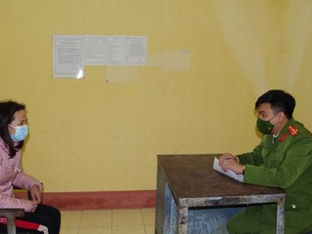 Pháp luật - Kêu gọi đầu tư dự án ảo, "nữ quái" lừa hơn 2,6 tỷ đồng của 70 người