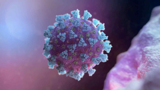 Một mẫu virus Corona. Ảnh: Reuters