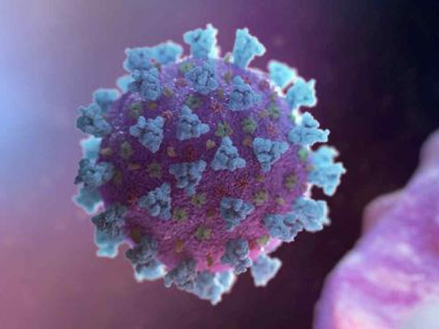 Thế giới - Tế bào T "sát thủ" giúp Nhật có số ca mắc Covid-19 chạm đáy