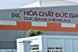 Kinh doanh - Thu gần 1.500 tỷ đồng, Vinachem không còn là cổ đông lớn của Hoá chất Đức Giang