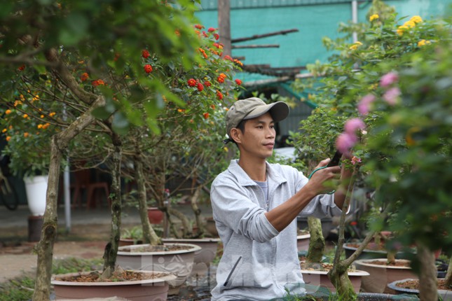 Biến hoa dại thành bonsai tiền triệu thu hút khách mua chơi Tết - 2