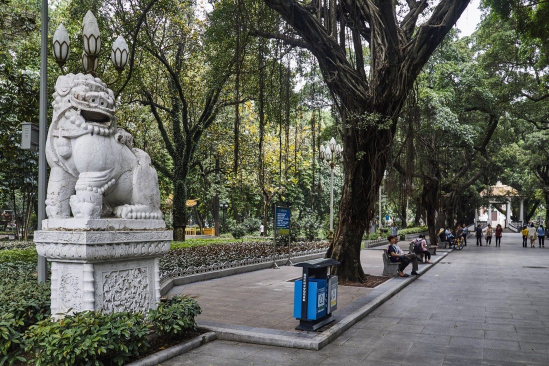 Những cây đa cổ thụ trong một công viên lớn ở thành phố Quảng Châu, Trung Quốc (ảnh: SCMP)