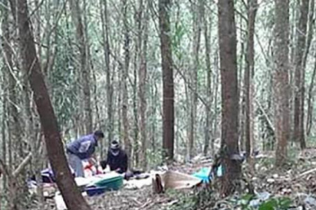 Vụ phát hiện thi thể bị nhiều vết đâm trong rừng keo: Triệu tập nghi phạm