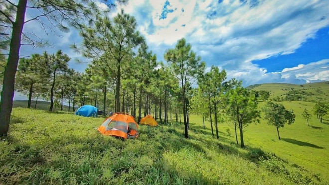 Cắm trại trên đỉnh Phượng Hoàng là một trải nghiệm vô cùng lý tưởng (FB Nguyễn Minh Chính)