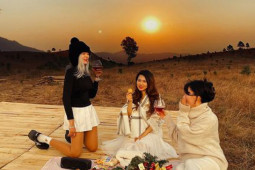 Du lịch - Ngất ngây với vẻ đẹp thảo nguyên của đỉnh Phượng Hoàng, Quảng Ninh