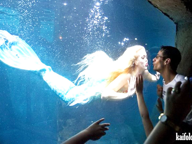 Cười 24H - Cười ngả nghiêng với những hình ảnh hài hước khó đỡ