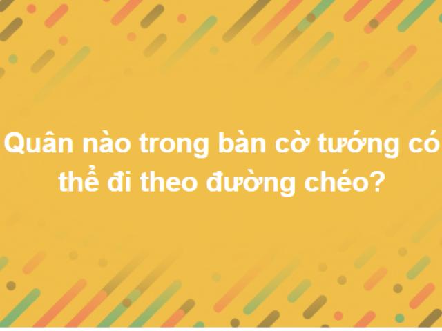 Giáo dục - du học - Tuyển tập những câu hỏi hack não, để trả lời đúng hết cũng không phải chuyện đơn giản