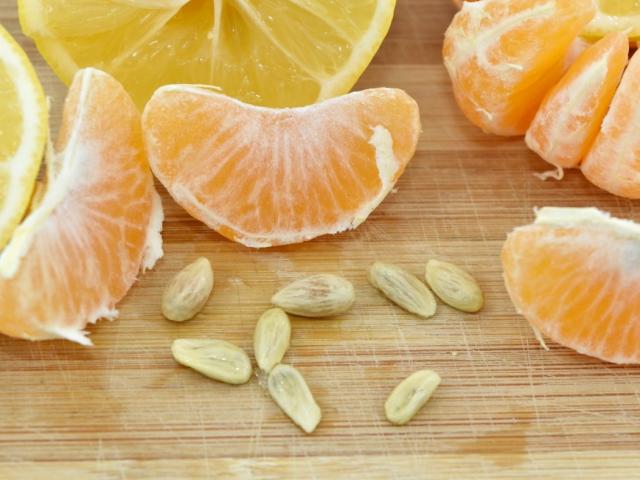 Ẩm thực - Hạt cam quýt là một “báu vật”, ăn xong đừng vội vứt bỏ