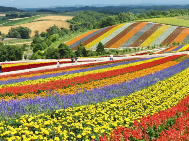 Du lịch - Chuyến đi lý tưởng trong năm 2022 dành riêng cho bạn