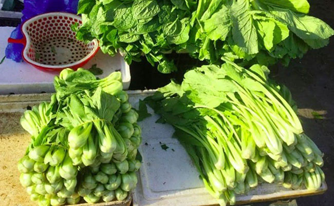 1.&nbsp;Rau cải

Rau cải đang vào mùa nên được bán ngập chợ. Hiện giá các loại cải như sau: rau cải chíp khoảng 10.000 đồng/kg, rau cải ngọt 19.500 đồng/kg, rau cải cúc 15.000 đồng/kg, rau cải xoăn 25.000 đồng/kg...

