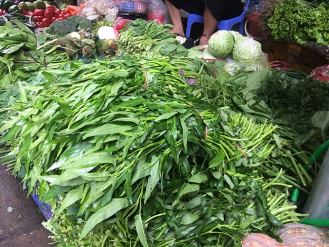2.&nbsp;Rau muống

Rau muống được nhiều chị em nội trợ lựa chọn trong bữa cơm gia đình. giá từ 15.000 - 35.000 đồng/kg tuỳ loại
