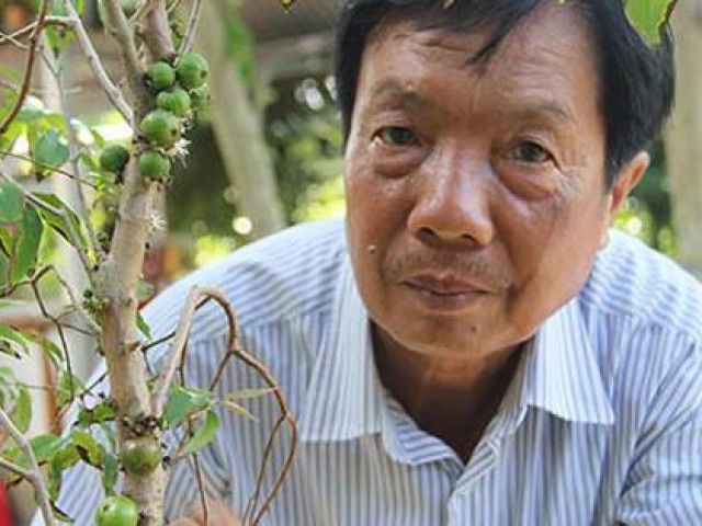 Thị trường - Tiêu dùng - Trái cây độc, lạ mất thị trường Tết