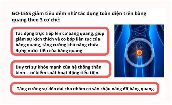 Buồn tiểu liên tục, ban ngày chốc chốc lại đi tiểu, ban đêm tiểu 4-5 lần - Chuyên gia vạch trần thủ phạm này! - 3