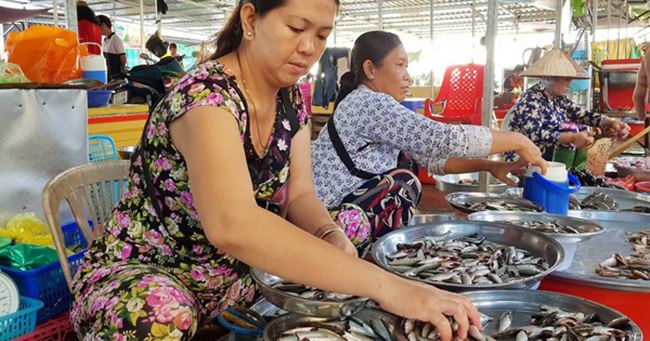 Tại Sài Gòn, cá linh được bán với giá lên tới 220.000 đồng/kg
