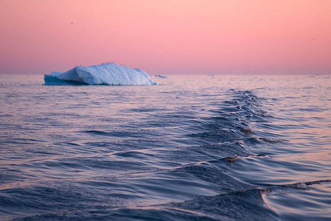 10. Vịnh băng Icefjord được UNESCO công nhận là di sản thiên nhiên thế giới.
