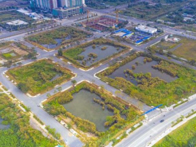 Tin tức trong ngày - Thủ tướng: Ngăn chặn hành vi lợi dụng đấu giá đất để gây nhiễu loạn thị trường, trục lợi