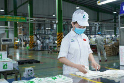 Kinh doanh - Nhựa An Phát Xanh muốn đấu giá công khai 100 triệu cổ phiếu AAA