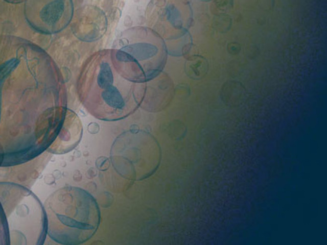 Công nghệ thông tin - Bằng chứng sốc: Sinh vật sống đang hiện diện trên Sao Kim?