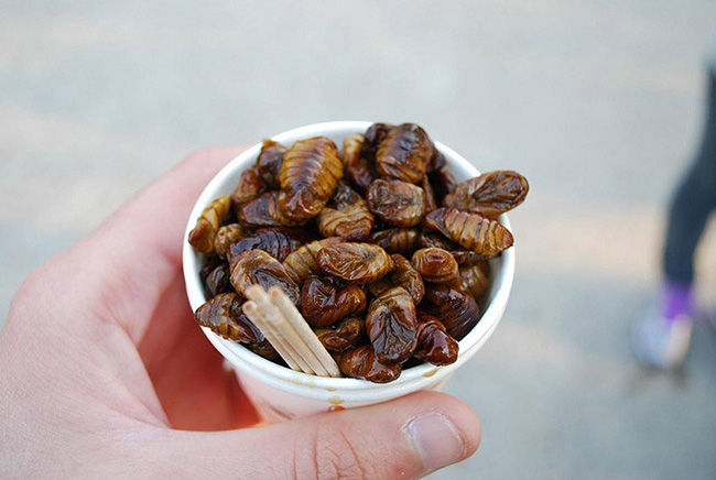7. Beondegi (nhộng tằm)

Đây là món ăn phổ biến ở Hàn Quốc, nhộng tằm sau khi hấp hoặc luộc sẽ được tẩm gia vị và xem như một món ăn nhẹ. Nó thường được bán trên các gánh hàng rong và quán nhậu.
