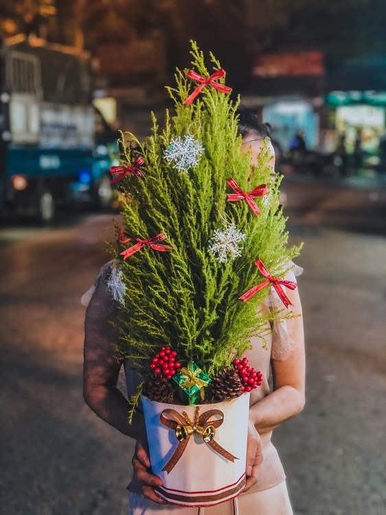Tùng thơm “cháy hàng”, người Hà Nội đổ xô đi mua cây trước thềm Giáng sinh - 5