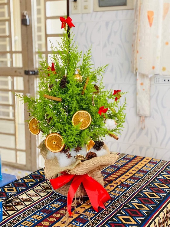 Tùng thơm “cháy hàng”, người Hà Nội đổ xô đi mua cây trước thềm Giáng sinh - 9