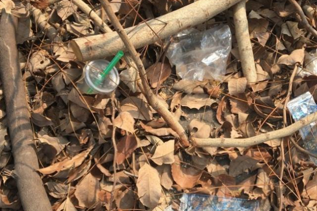 Nữ nhân viên quán cắt tóc tử vong kỳ lạ: Thi thể không quần áo dưới lá cây