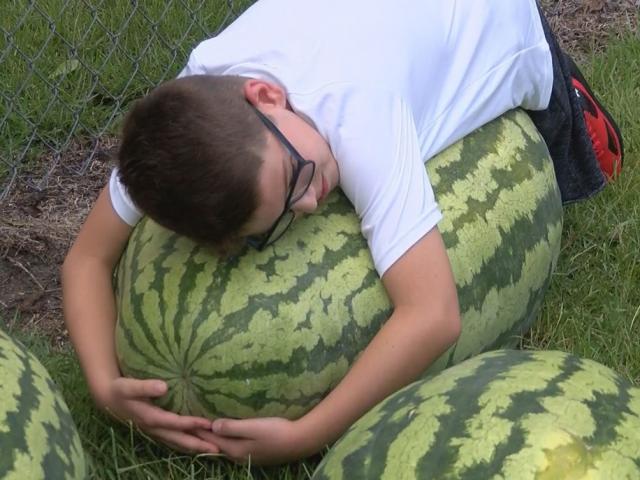 Thị trường - Tiêu dùng - Mua hoa quả khổng lồ về chơi Tết, phải chi ít nhất bao nhiêu?