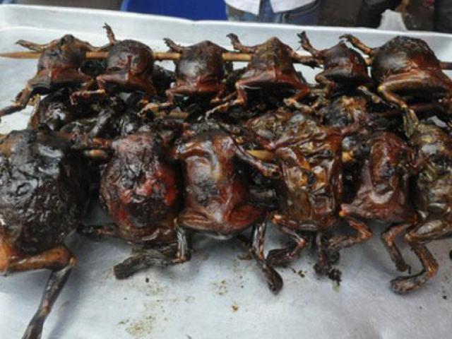 Thị trường - Tiêu dùng - Loài ở Việt Nam nhìn kinh hãi hóa ra là đặc sản độc nhất vô nhị, nhà hàng đặt tới tấp