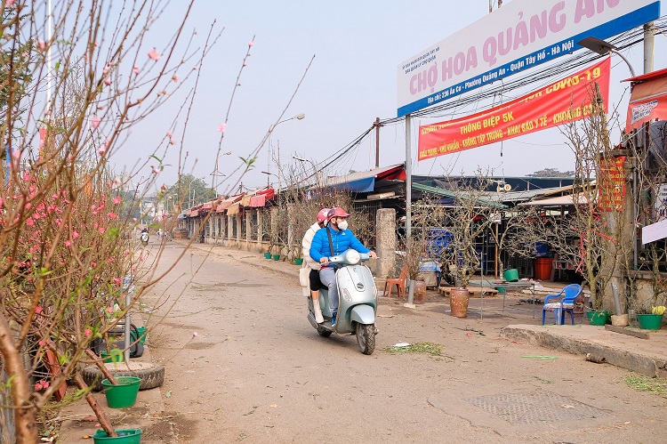Hà Nội: Đào Nhật Tân bán đầy chợ, người dân chi tiền triệu “chơi Tết” sớm - 3