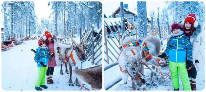 Ngồi trên cỗ xe tuần lộc ngắm rừng thông tuyết phủ