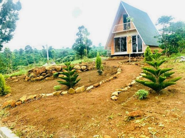 Kinh doanh - Thị trường BĐS năm 2022: Phân khúc nào là "miếng bánh ngon"?