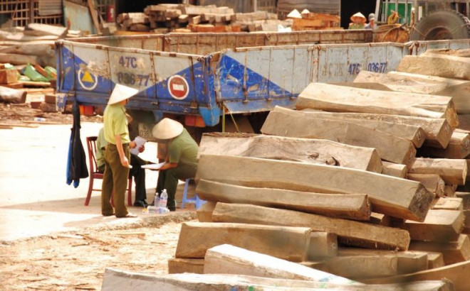 Cơ quan An ninh điều tra khám xét, kiểm đếm số gỗ trong xưởng gỗ Công ty Hiền Thái.
