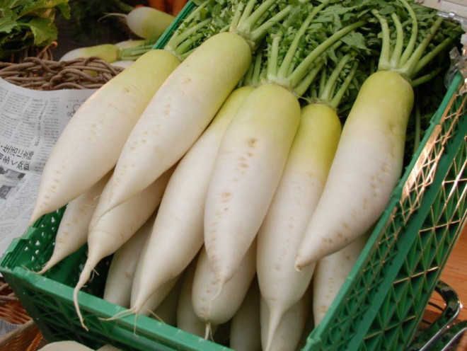 Các hoạt chất glucoside trong củ cải trắng có tác dụng chống oxy hóa mạnh (Ảnh minh họa)