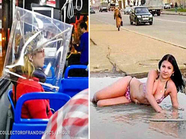 Tranh vui - Những hình ảnh hài hước khiến bao người cười ngả nghiêng