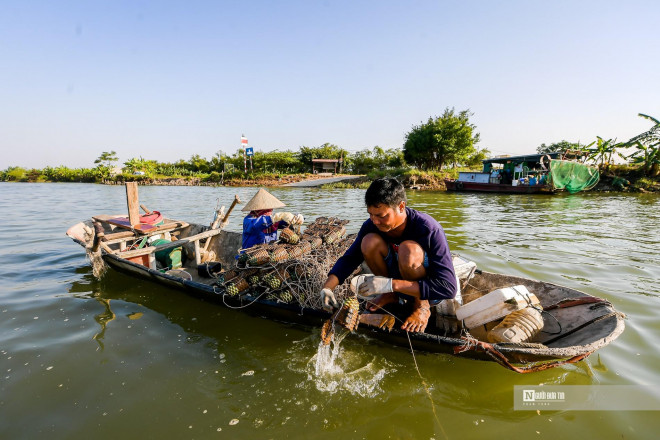 Cà ra sinh sống ở đáy sông nên mắt thường không thể nhìn thấy. Việc xác định chỗ nào có cà ra đều phụ thuộc và kinh nghiệm. Thông thường những khu vực năm trước có thì năm sau cũng sẽ có.