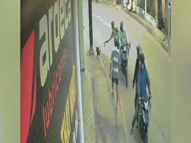 Pháp luật - Vụ chủ nhà bất lực nhìn chó cưng bị “cẩu tặc” bắn chết ngay trước mặt: Bắt nhóm nghi phạm