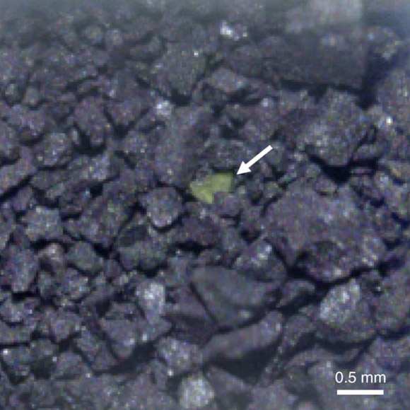Mẫu vật chất bóng đêm đặc biệt từ Ryugu - Ảnh: JAXA