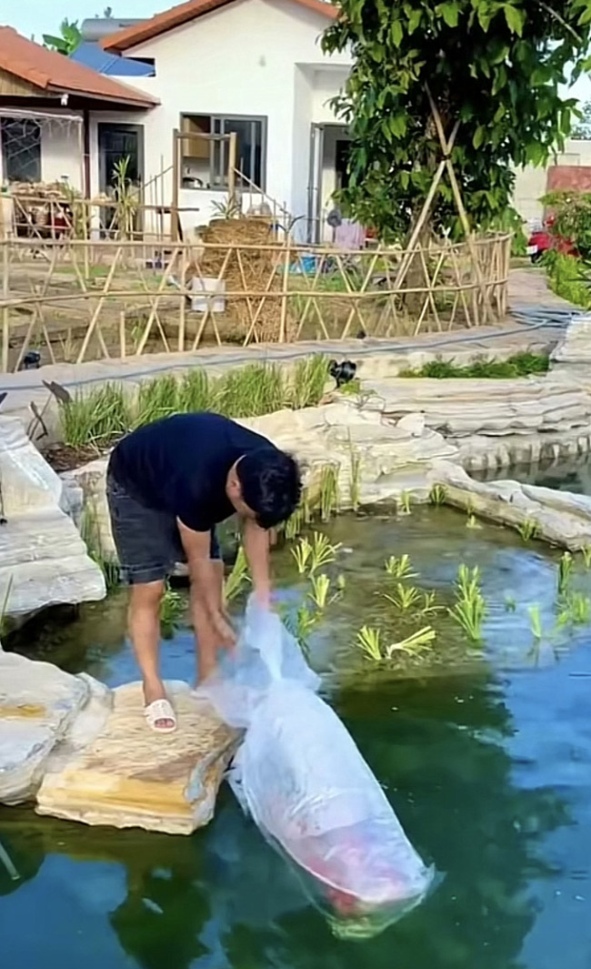 Dễ dàng nhận thấy không gian rộng trên diện tích đất lẫn mặt nước ở khu biệt thự này.
