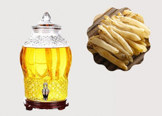 Theo Đông y, sá sùng có thể sử dụng như một vị thuốc cường dương, tăng sinh lực. Chính vì thế, chúng có giá trị kinh tế khá cao và bị đánh bắt quá mức nên số lượng ngày càng khan hiếm. Để chế biến làm thuốc, người ta sẽ ngâm sá sùng vào nước muối, sau đó luộc chín rồi đem phơi khô