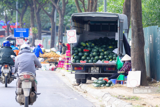 Hà Nội: Người dân đổ xô đi giải cứu nông sản - 1