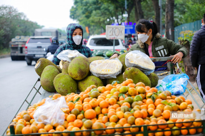 Hà Nội: Người dân đổ xô đi giải cứu nông sản - 6