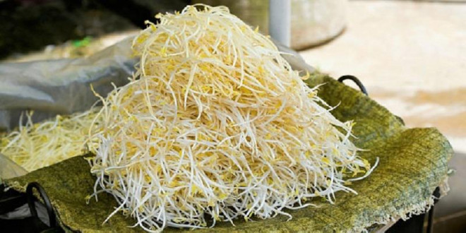 Chọn giá đỗ thân cong, không bóng