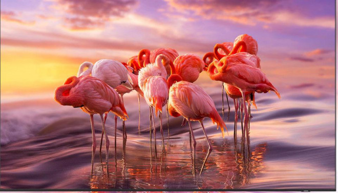 Loạt tivi xịn "bay giá" sốc cuối năm, có mẫu giảm tới 80%, đáng để bạn xuống tiền thay mới - 2