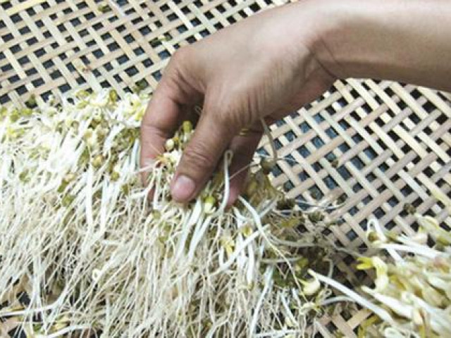 Thị trường - Tiêu dùng - Muốn biết giá đỗ bán ngoài chợ có bị tiểu thương ngâm hoá chất hay không nhìn vào rễ là biết