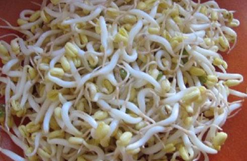 Muốn biết giá đỗ bán ngoài chợ có bị tiểu thương ngâm hoá chất hay không nhìn vào rễ là biết - 6