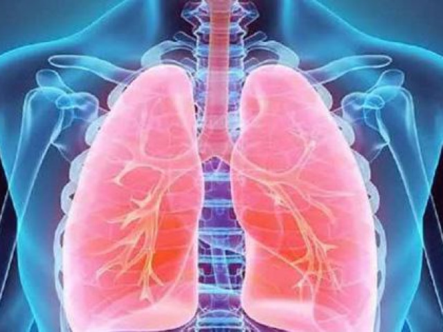 Sức khỏe đời sống - Chăm sóc phổi đúng cách trong mùa dịch COVID-19