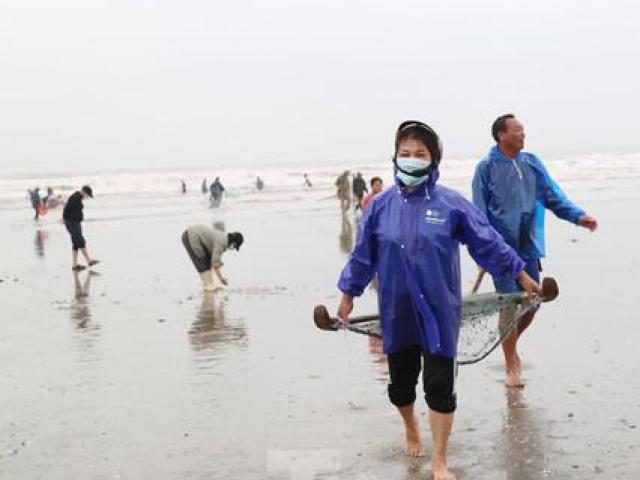 Tin tức trong ngày - Người dân Hà Tĩnh đổ xô ra bờ biển vợt "lộc trời" ngày cuối năm