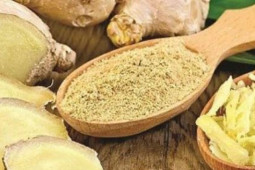 Sức khỏe đời sống - Thời điểm ăn gừng tốt nhất trong ngày, mùa đông lạnh nên áp dụng ngay để phòng ốm vặt