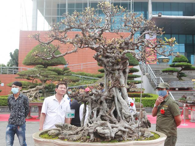 Thị trường - Tiêu dùng - Chiêm ngưỡng báu vật triệu đô còn sót lại từ thời cung đình Huế